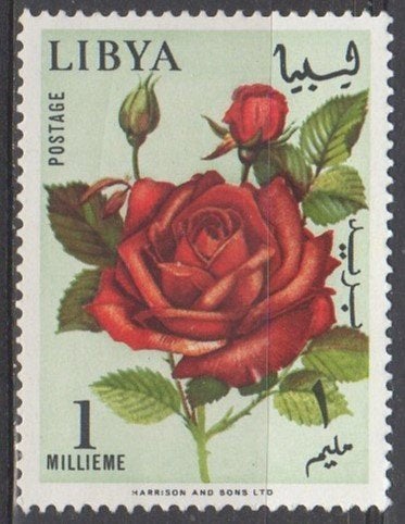 Libië - Rode roos, Postzegels en Munten, Postzegels | Afrika, Ophalen of Verzenden, Libië, Postfris