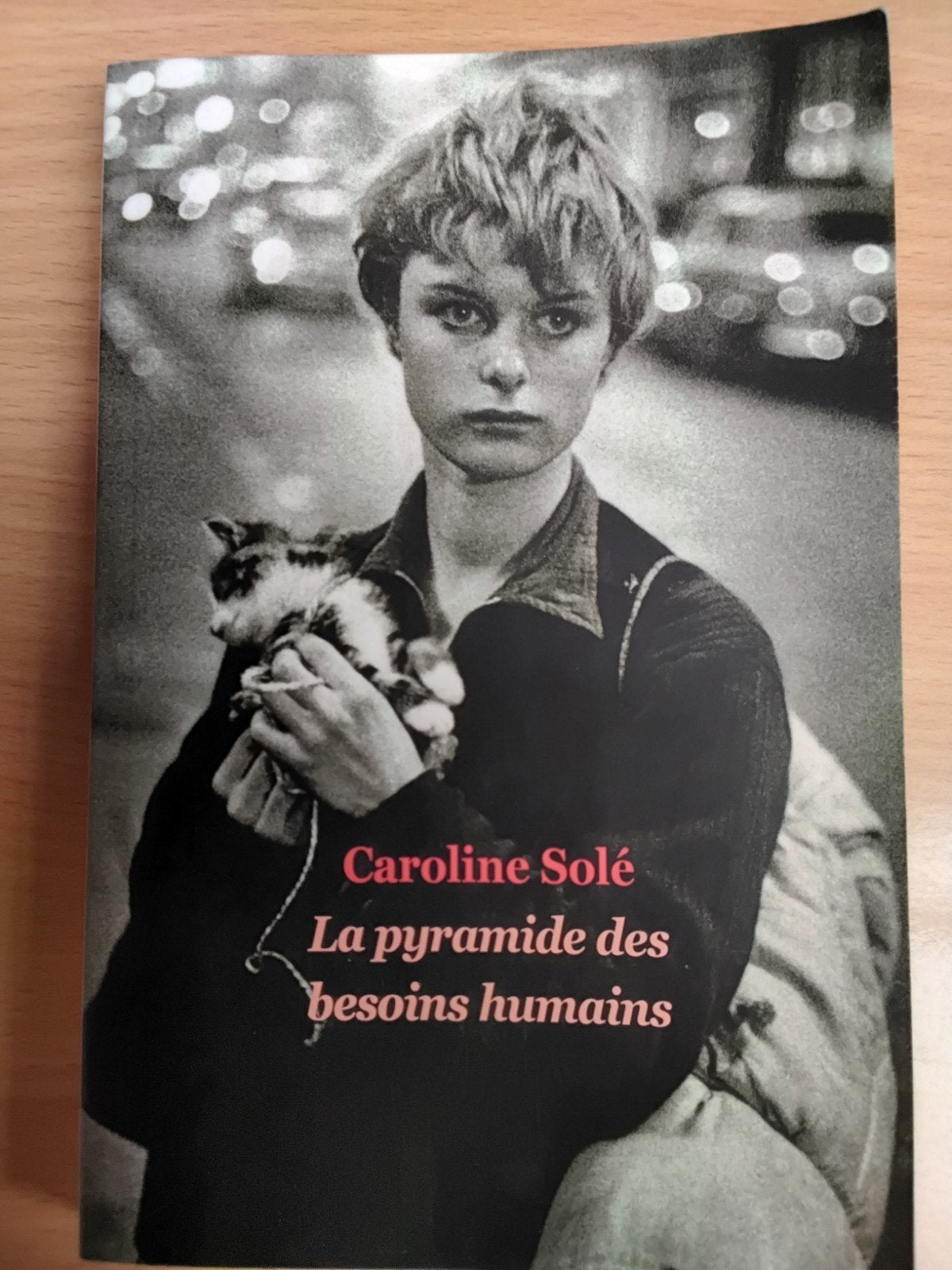 La pyramide des besoins humains - Caroline Solé, Gelezen, Europa overig, Ophalen of Verzenden, Caroline Solé