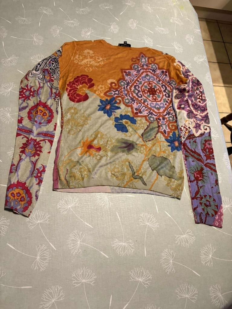 damestruitje van exclusief merk "etro milano", Maat 38/40 (M), Ophalen of Verzenden, Zo goed als nieuw, Overige kleuren