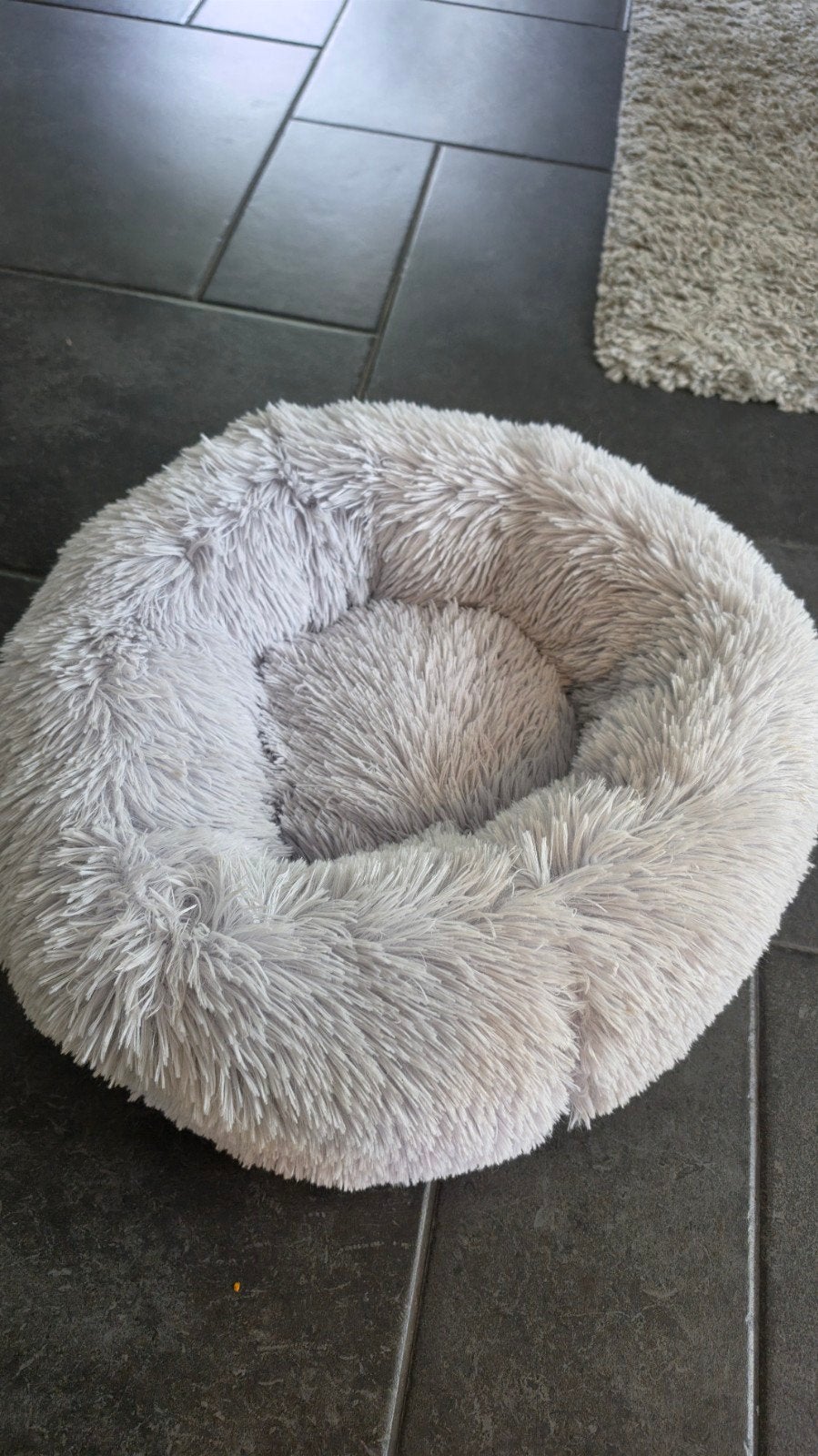 kattenmand + kattenfontein, Animaux & Accessoires, Paniers pour chats, Enlèvement ou Envoi