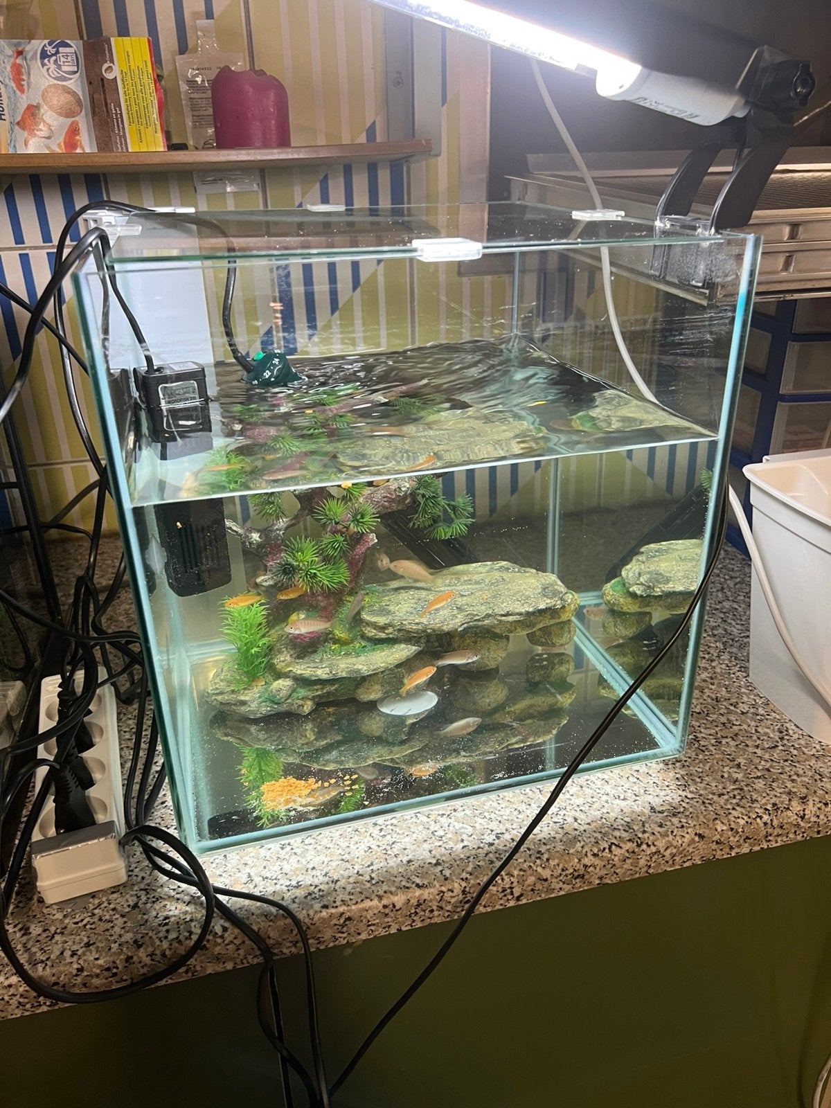 Aquarium met vissen, Enlèvement, Comme neuf