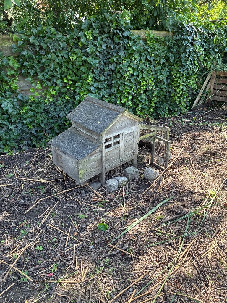 Kippenhok, Dieren en Toebehoren, Ophalen, Gebruikt, Kippenhok of Kippenren