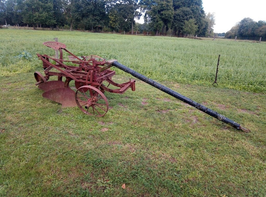 Amerikaanse trekpaarden ploeg, Enlèvement, Utilisé, Autres disciplines