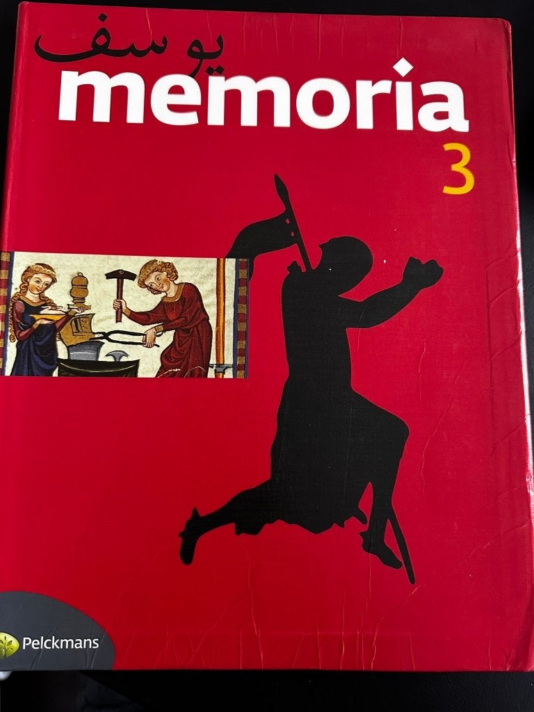 SCHOOLBOEK, Boeken, Schoolboeken, Gelezen, ASO, Geschiedenis, Ophalen of Verzenden