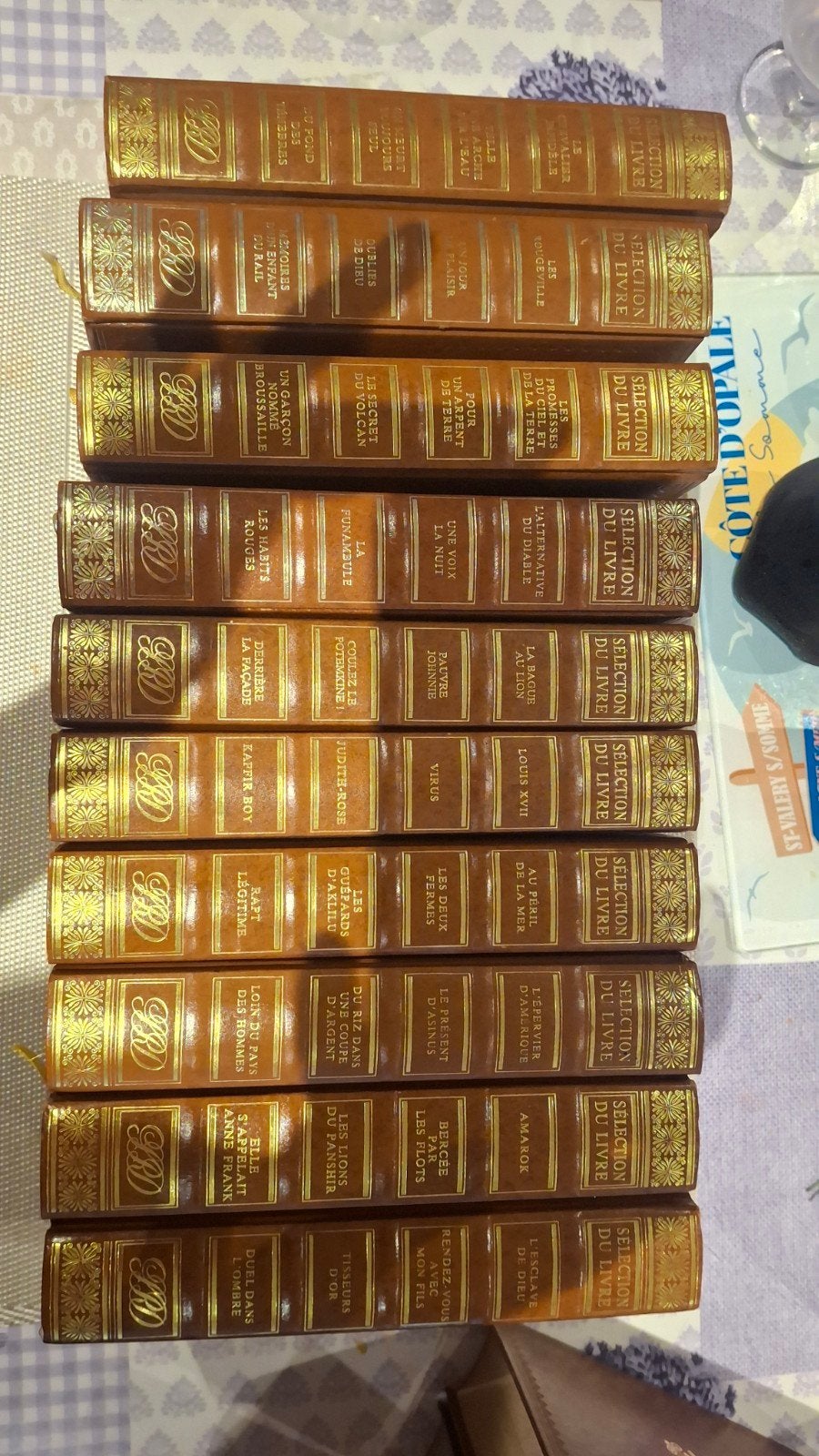 Lot de 26 livres – Sélection du Livre, Enlèvement