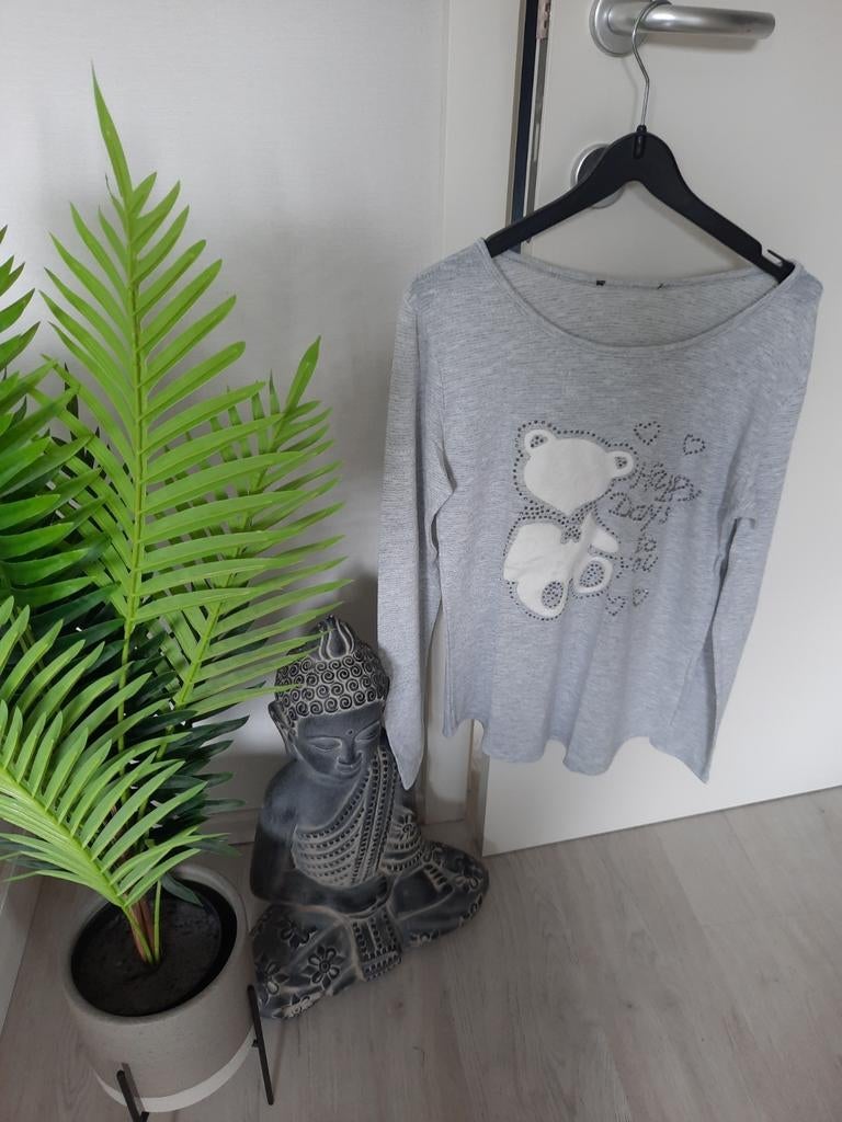 Trui maat small/medium, Kleding | Dames, Ophalen of Verzenden, Zo goed als nieuw
