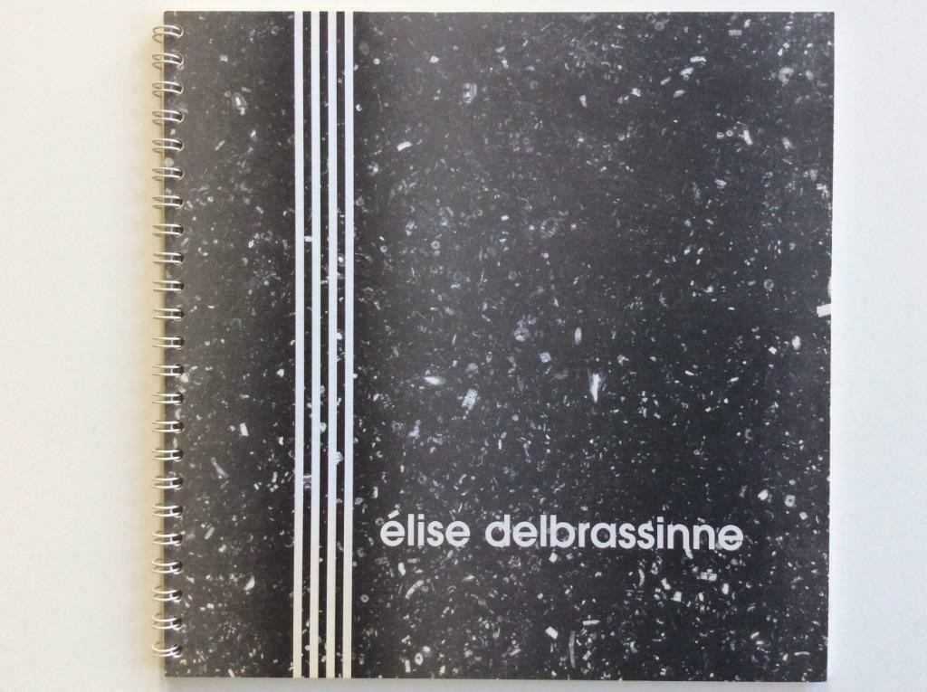 Elise Delbrassinne (L'Image Mécanique, 1995), Boeken, Ophalen of Verzenden, Zo goed als nieuw, Beeldhouwkunst