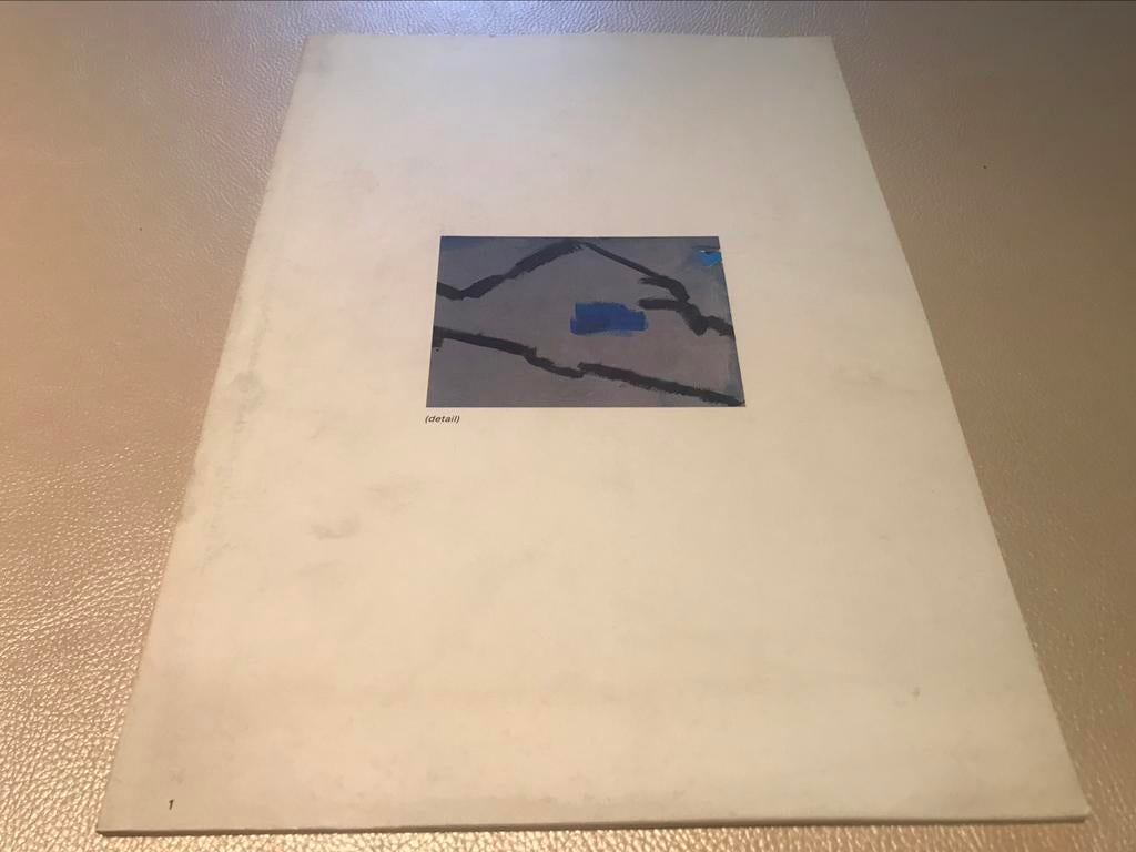 Raoul De Keyser schilderijen 60pag, Ophalen of Verzenden, Zo goed als nieuw, Schilder- en Tekenkunst