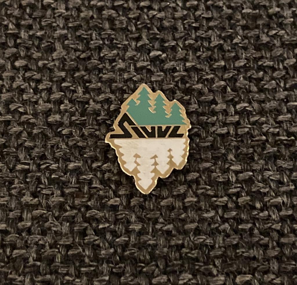 PIN - BOS - BOMEN - ARBRES - FORÊT, Envoi, Utilisé, Autres sujets/thèmes, Insigne ou Pin's