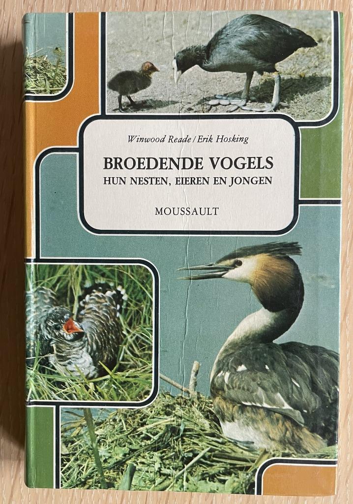 Broedende vogels hun nesten, eieren en jongen, Enlèvement ou Envoi