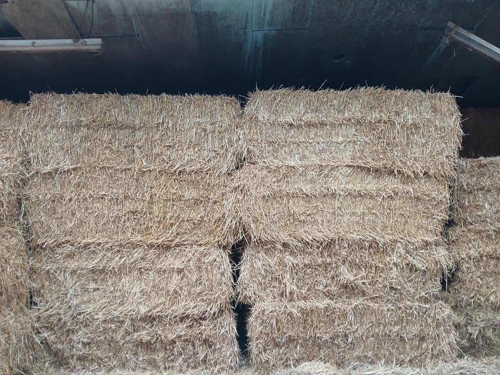 Kleine botjes, grote pakken stro, voederbieten, Ophalen of Verzenden