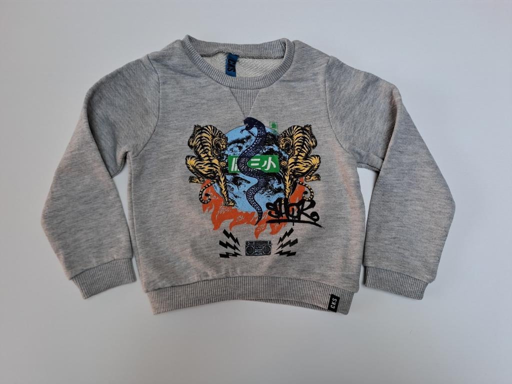 Pull gris avec tigres, serpent et ghettoblaster t 3a, Garçon, Enlèvement ou Envoi, Pull ou Veste, Cks