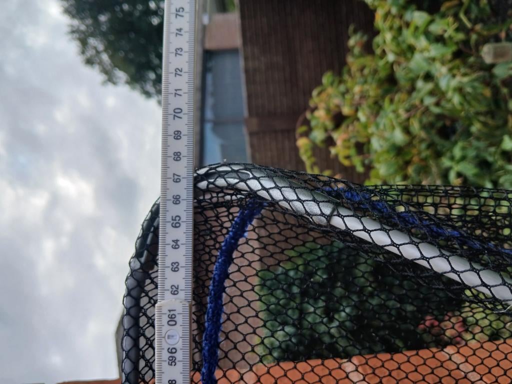 Schepnet in goede staat, Enlèvement