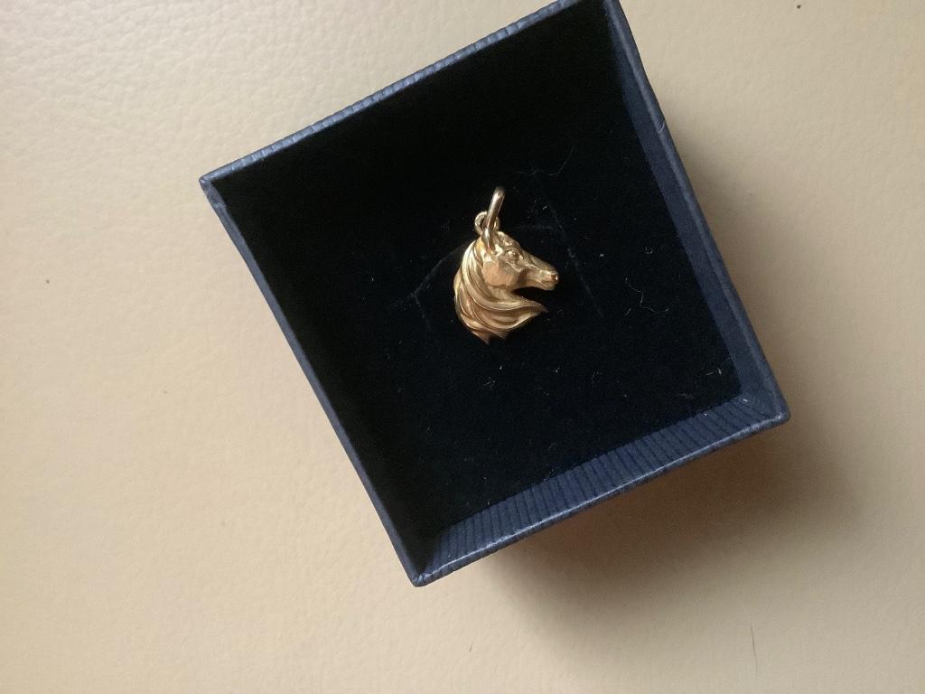 Hanger goud juweel, Ophalen of Verzenden, Goud, Hanger