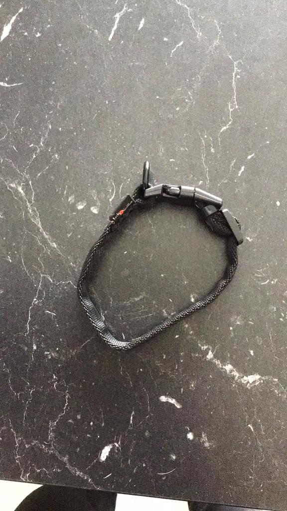 Jack en vanilla pup halsband en leiband 150cm, Enlèvement, Neuf