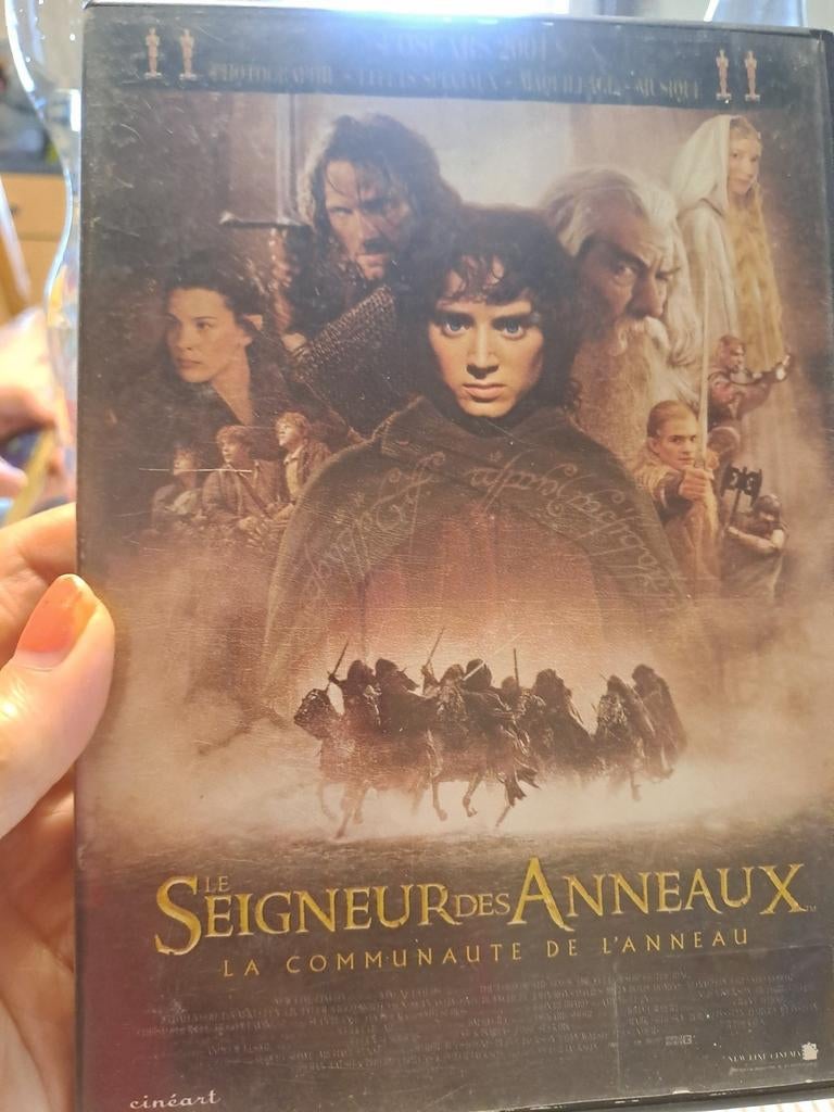 DVD Le Seigneur des anneaux en très bon état, Enlèvement ou Envoi, Comme neuf