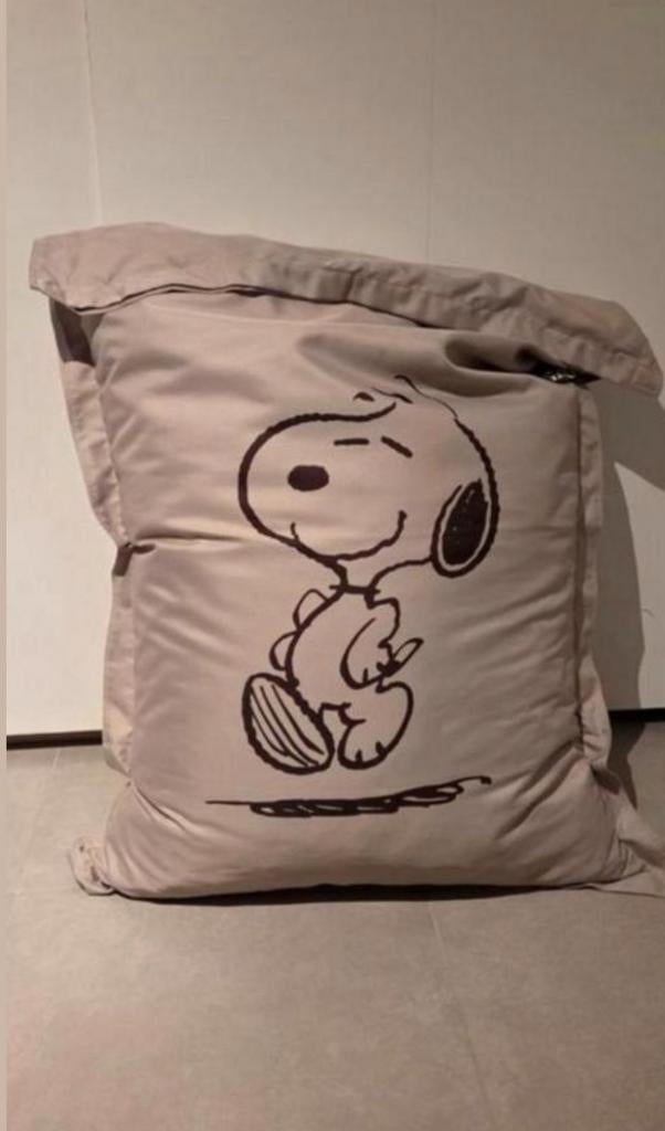 Zitzak/zitkussen Snoopy peanuts, Enlèvement