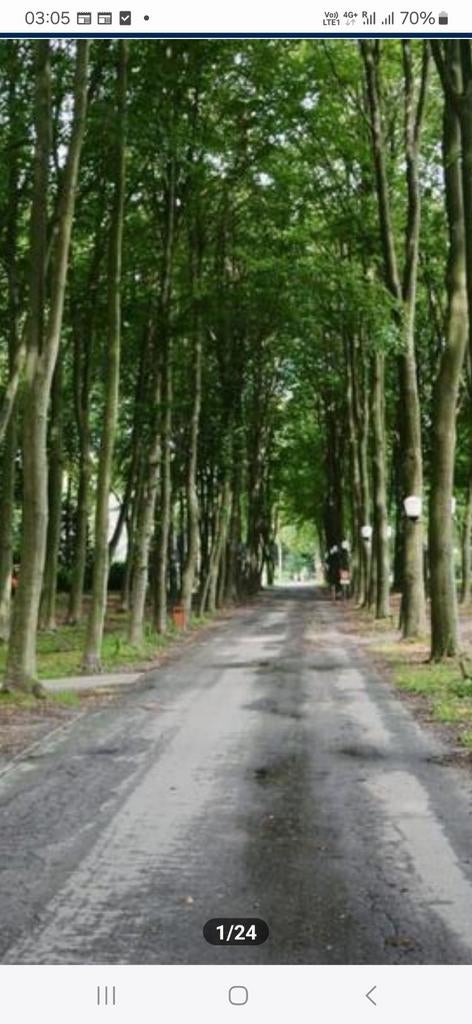 Maison de vacances confortable à louer pour les vacances de, Vacances, Maisons de vacances | Belgique