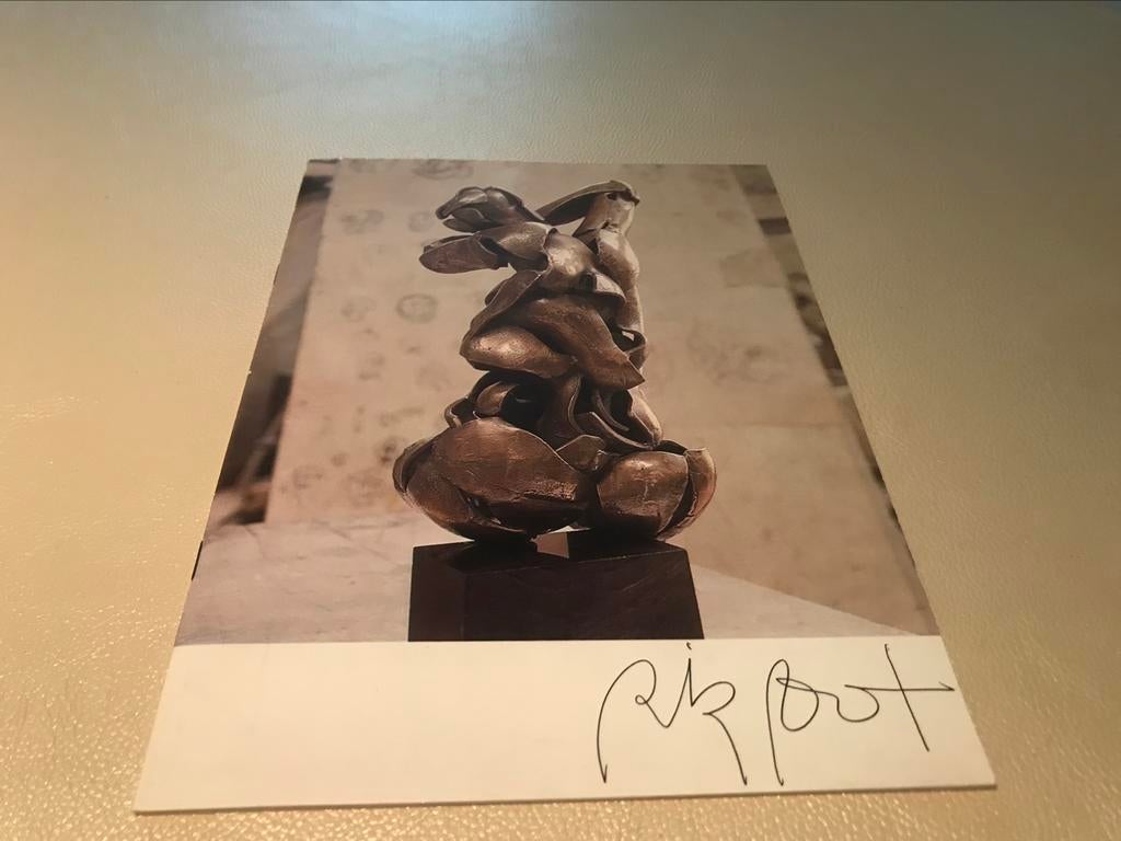 Rik Poot Sculptures 40 pages, Enlèvement ou Envoi, Comme neuf, Sculpture