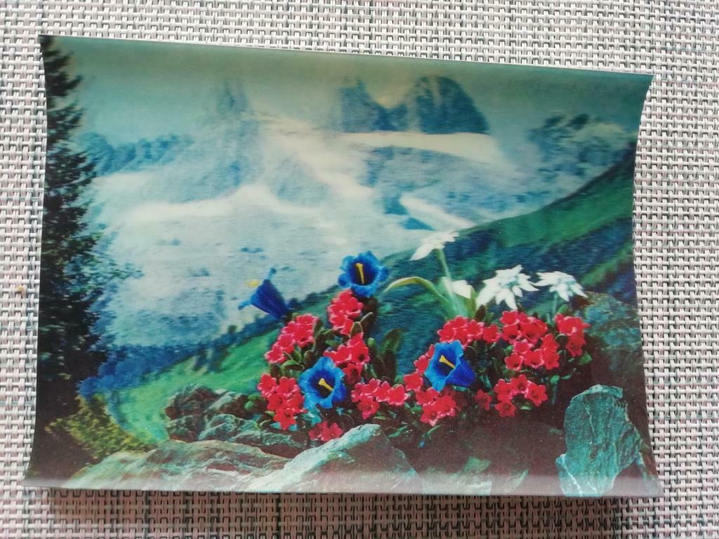 Carte 3D Plante alpine, Enlèvement ou Envoi