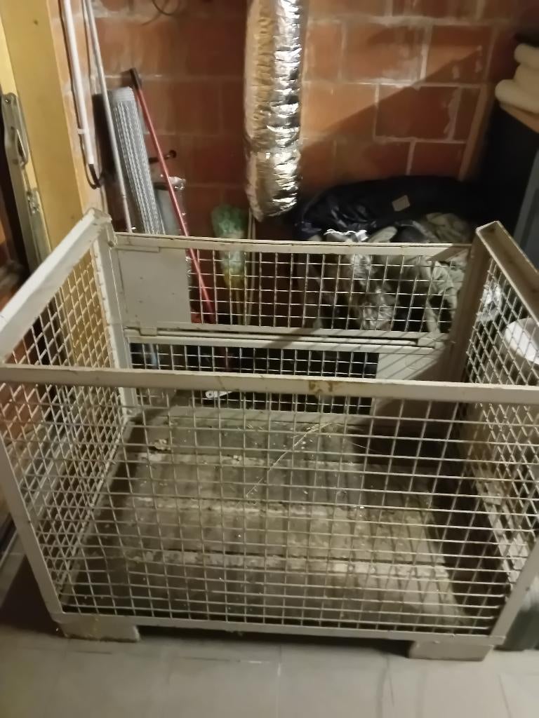 Gitterbox, Enlèvement