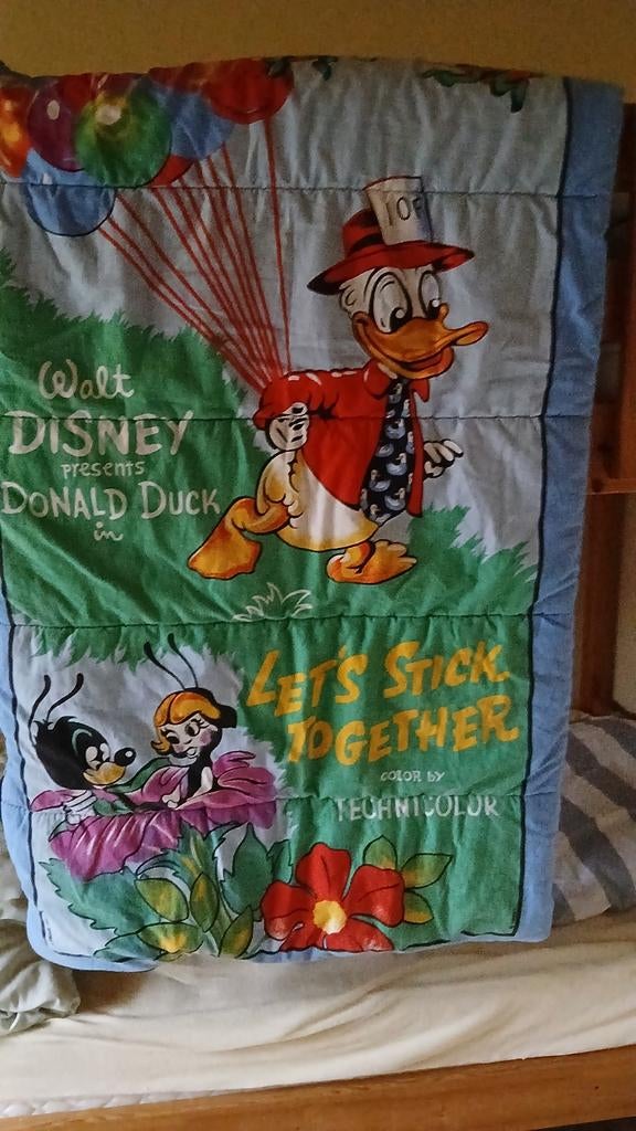 Sac de couchage Disney, impeccable, Enlèvement