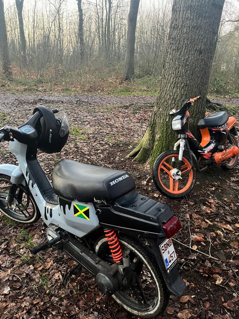Wallaroo B klasse, Fietsen en Brommers, Ophalen, Klasse B (45 km/u), 65 cc