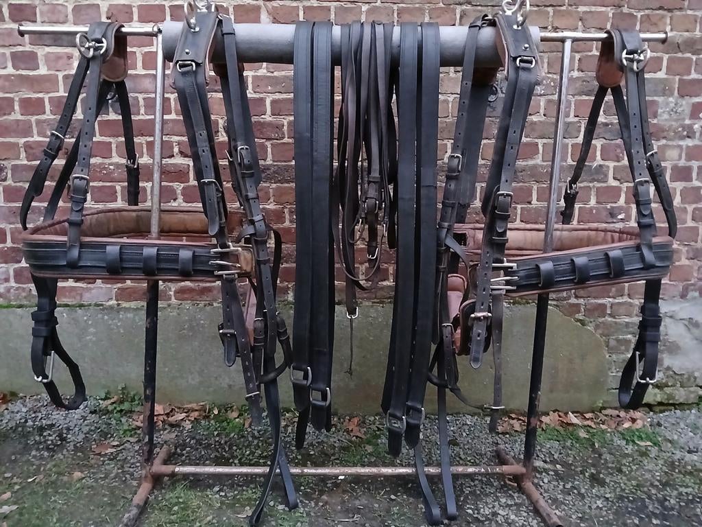 Dubbelspantuig Van Der Wiel/Ideal Equestrian, Dieren en Toebehoren, Paarden en Pony's | Hoofdstellen en Tuigage, Gebruikt, Overige soorten
