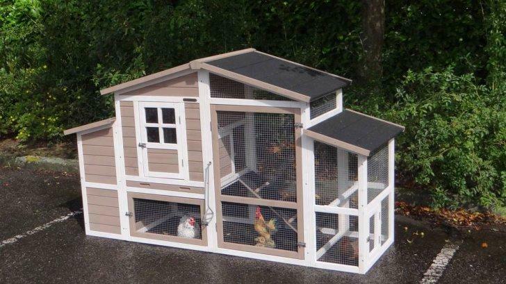 Poulailler XXL abri poule caille volaille lapin clapier, Animaux & Accessoires, Envoi, Neuf