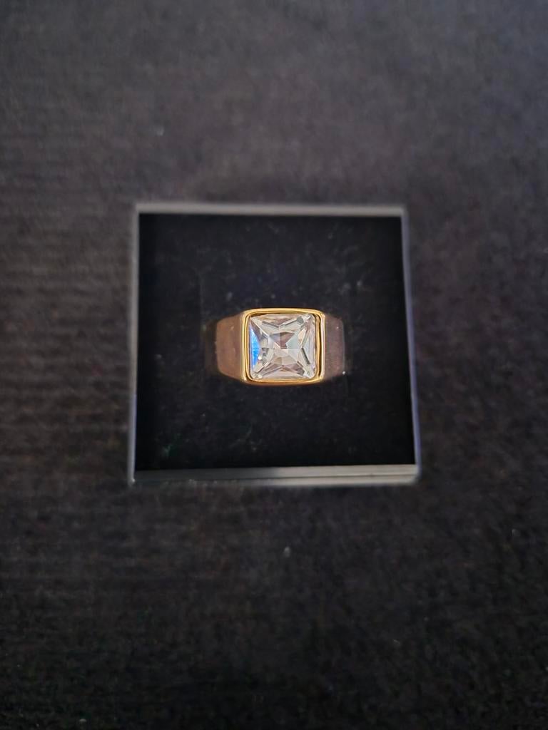 Nieuwe ring in stainless steel maat 56, Bijoux, Sacs & Beauté, Bagues, Neuf, Enlèvement ou Envoi, Femme, Fer ou Acier