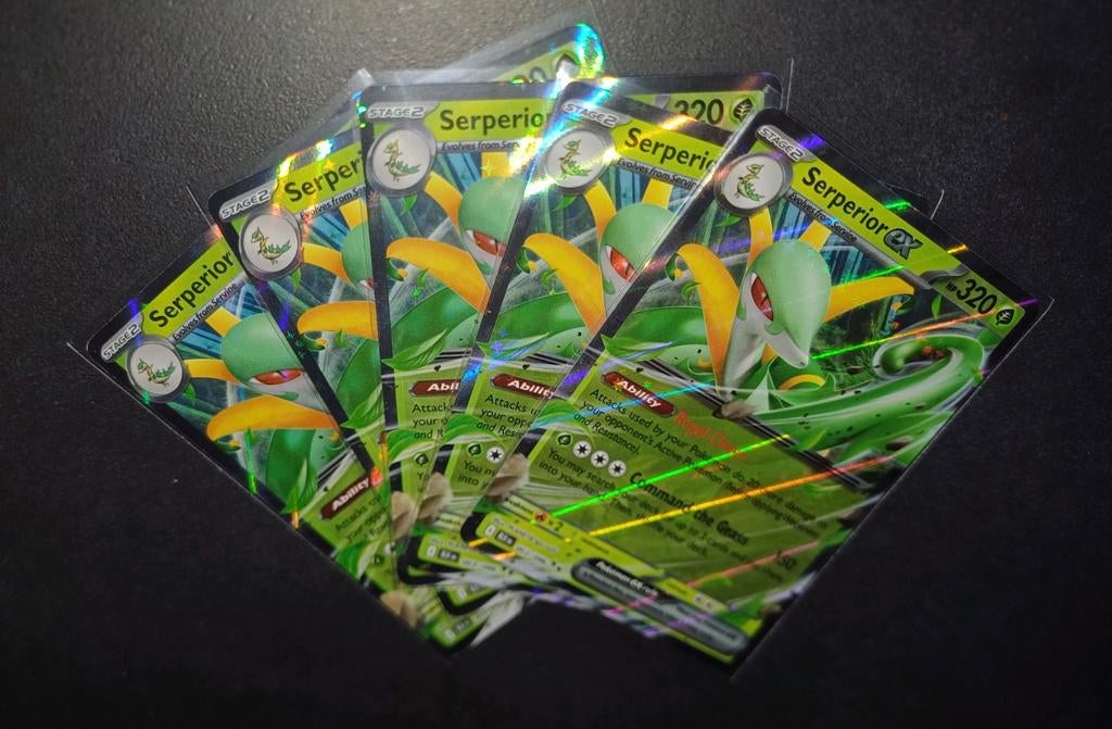 Modern Era: Serperior Ex 003/086 Black Bolt, Ophalen of Verzenden