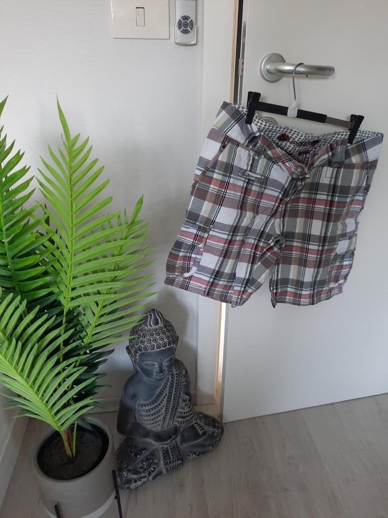Short Groggy maat 36, Kleding | Dames, Ophalen of Verzenden