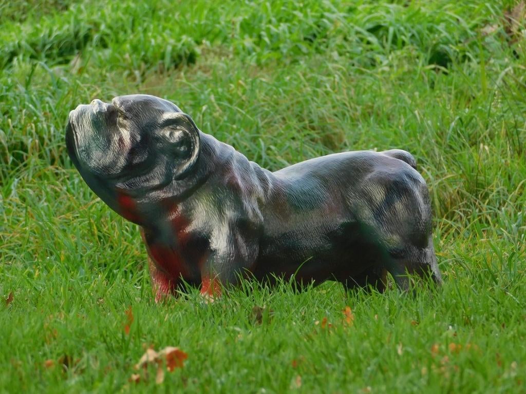 Beeld Bulldog - multicolour - polystone, Ophalen of Verzenden, Kunststof, Dierenbeeld