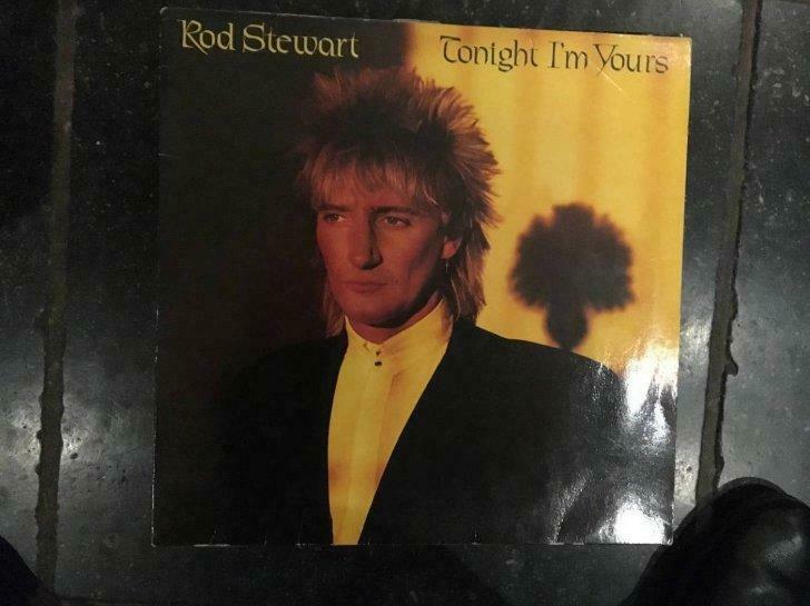 Rod Stewart Tonight I'm yours    lp