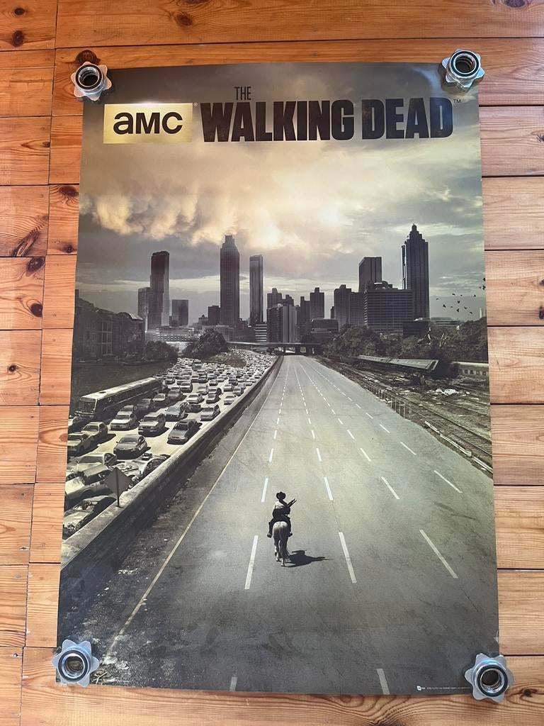 Poster Walking Dead, Ophalen of Verzenden, Poster