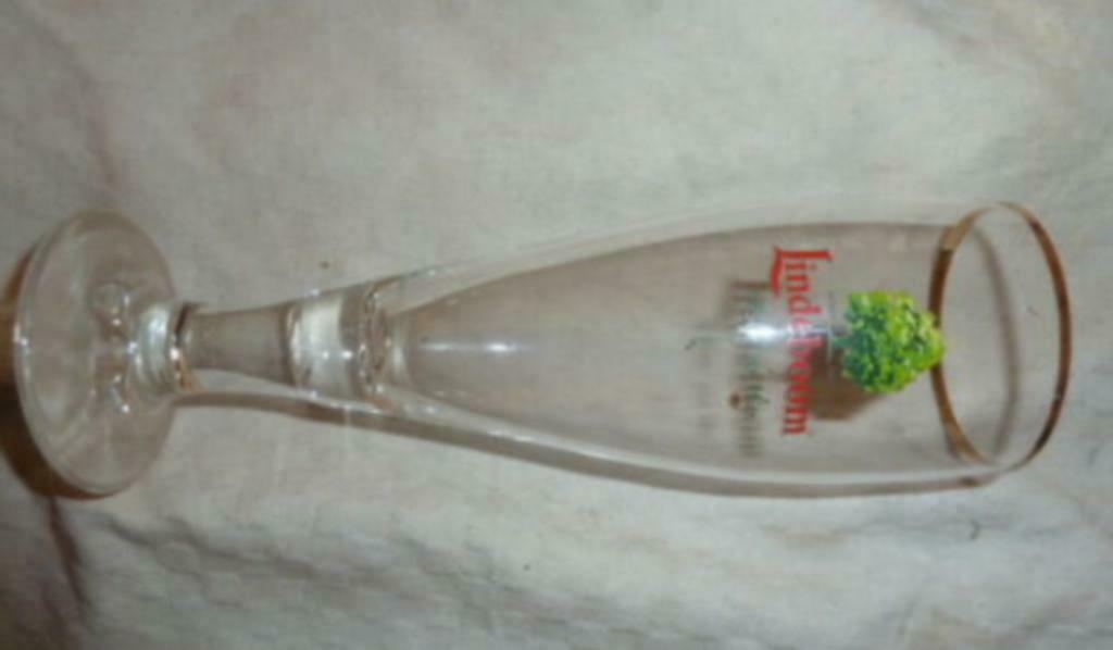 bier glas LINDEBOOM " t' bier van hier " smal hoog glas, Verzamelen, Ophalen of Verzenden, Nieuw, Bierglas