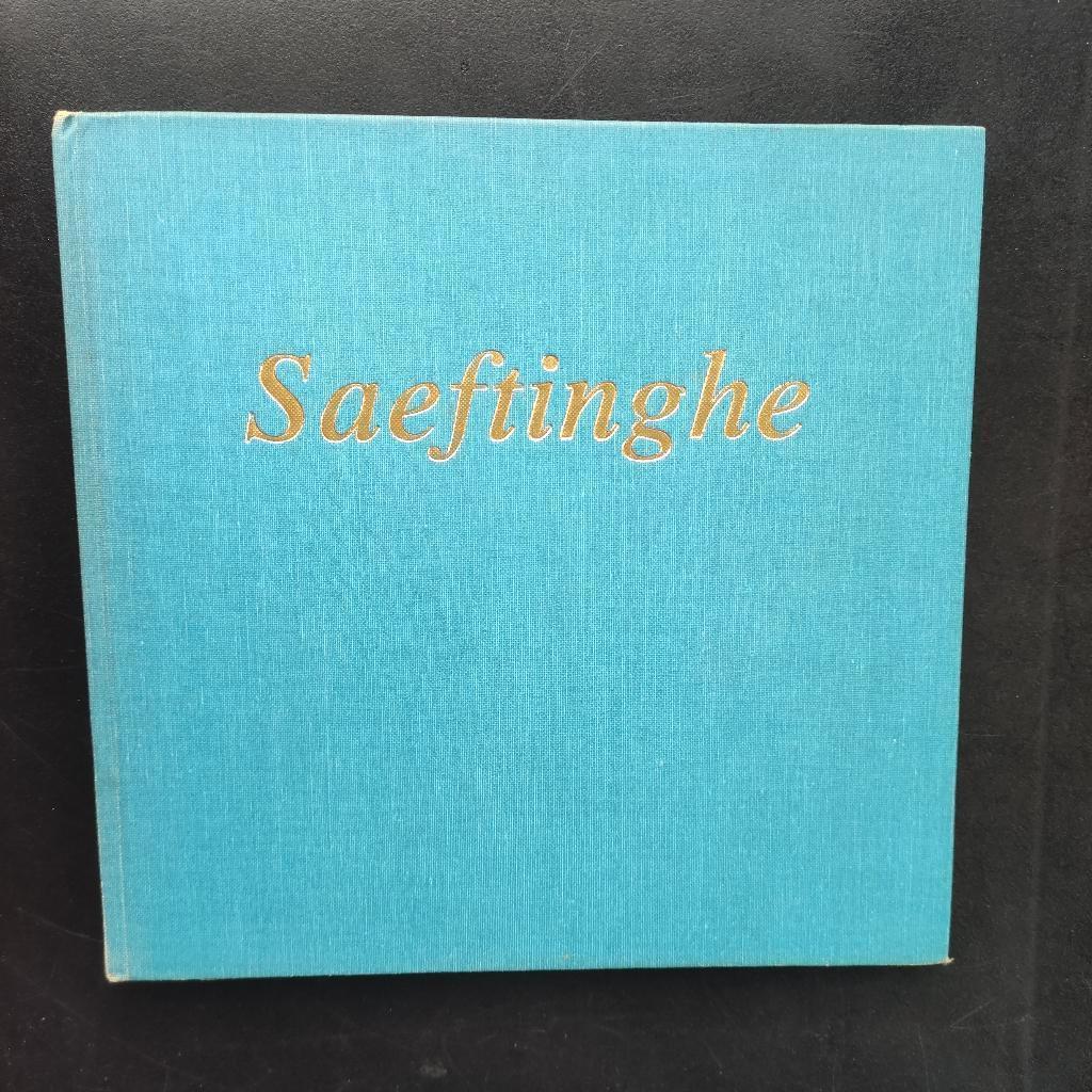 Saeftinghe, Boeken, Reisverhalen, Ophalen of Verzenden, Zo goed als nieuw