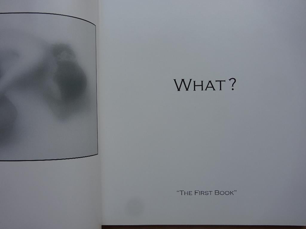 What ? Nic Kluyskens, Photography, 2005, Enlèvement ou Envoi, Comme neuf, Photographes