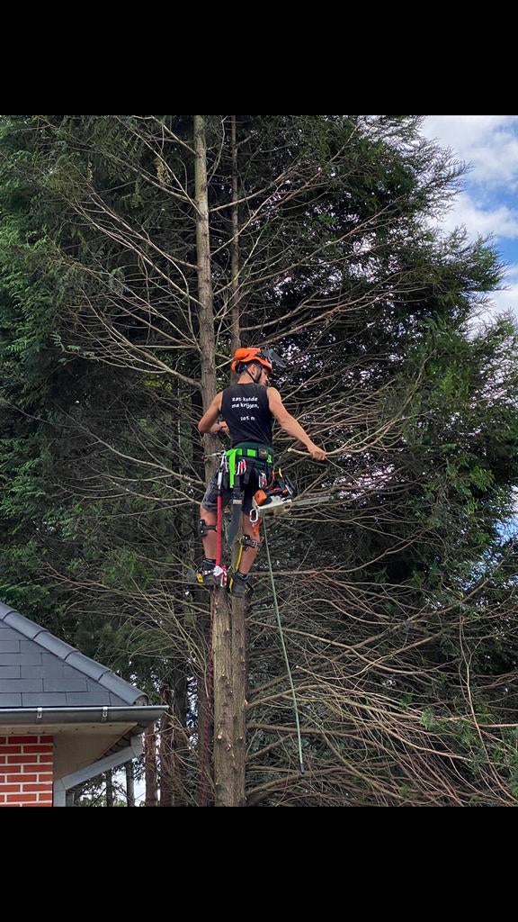 Professioneel kappen en snoeien van bomen, Diensten en Vakmensen, Tuinmannen en Stratenmakers