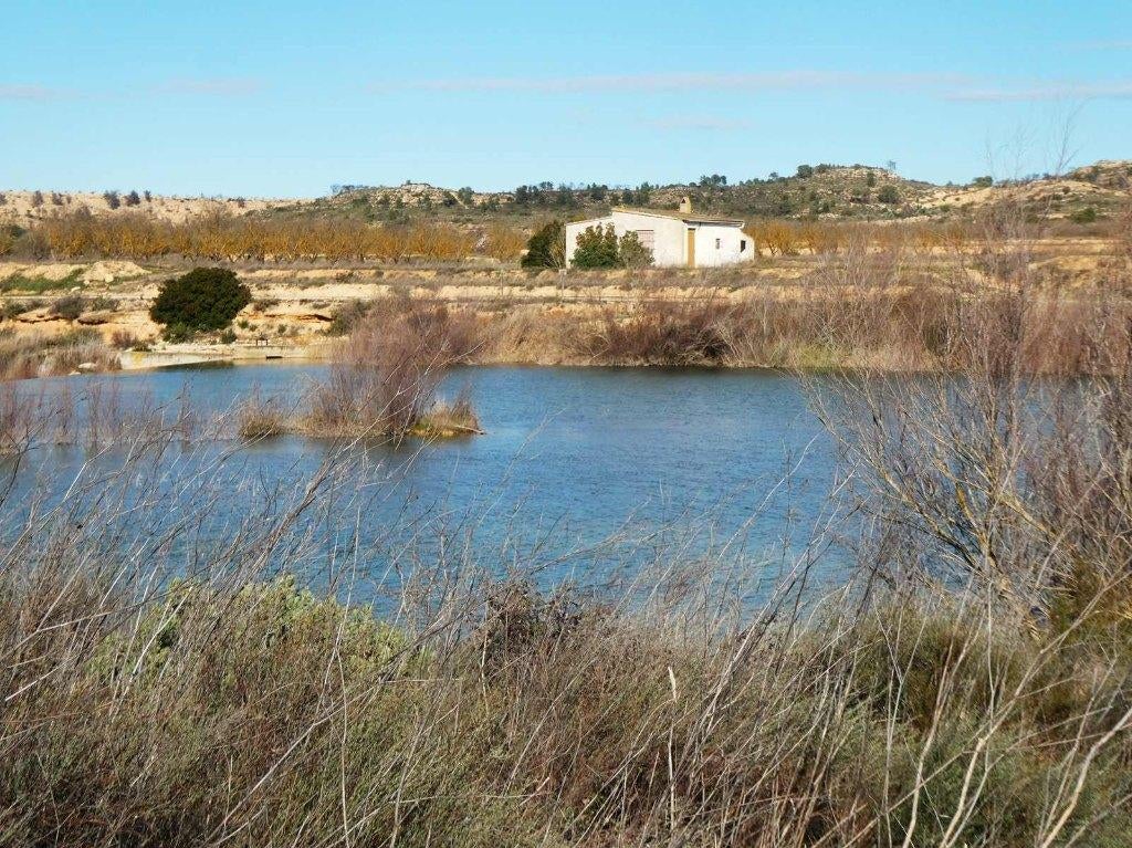 Finca in Fabara (Aragón, Spanje) - 1100, Immo, 56 m², Overige soorten, Spanje, Landelijk
