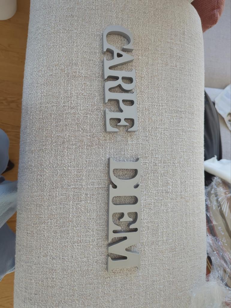 Dekoratief magneetslogan ' Carpe diem', Enlèvement ou Envoi, Comme neuf