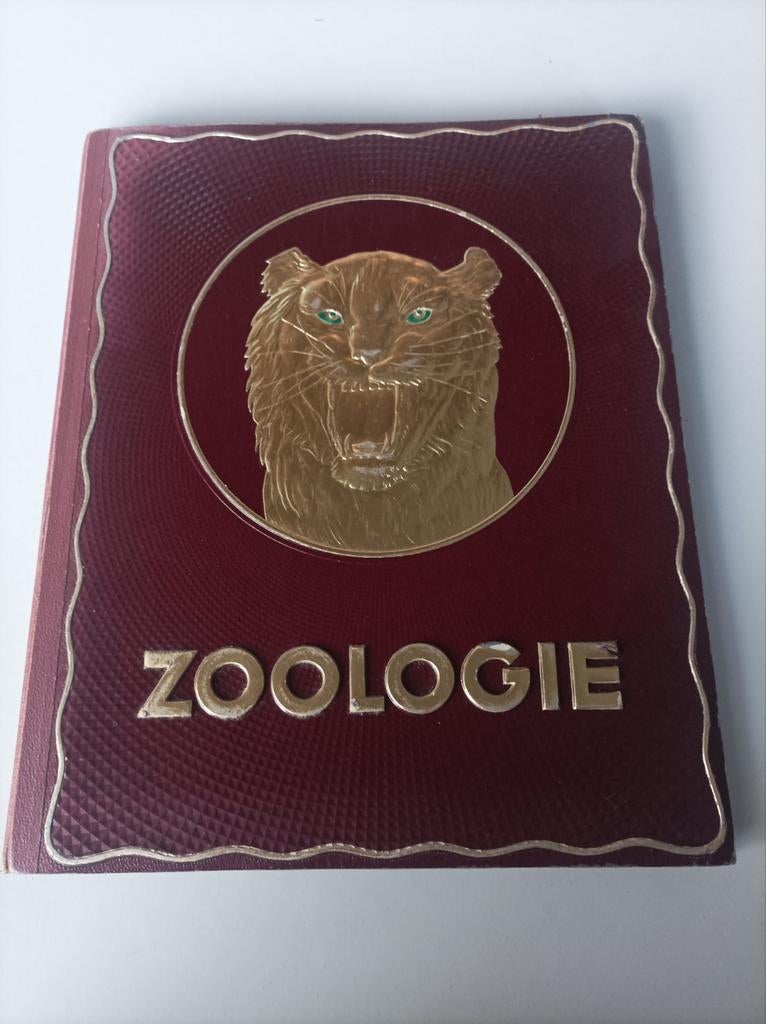 Kwatta imprime l'album Zoology. entièrement, Enlèvement ou Envoi