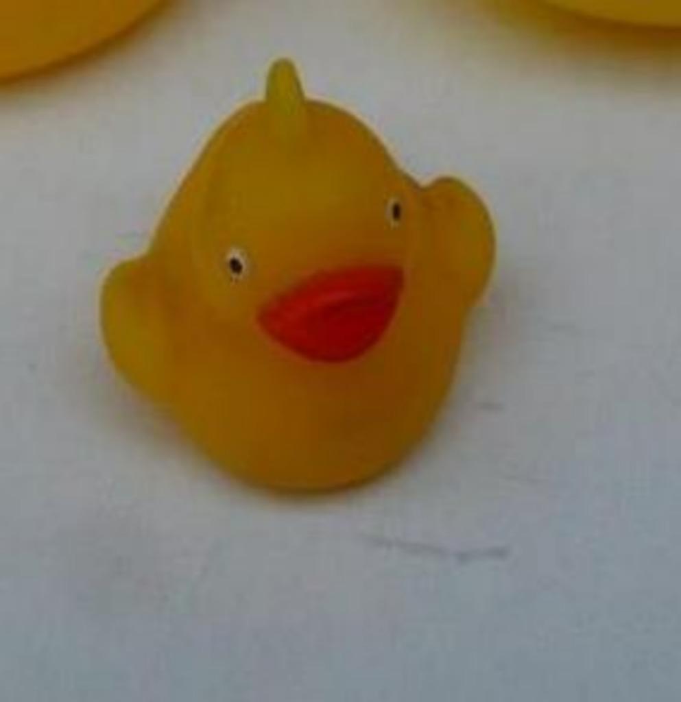 eendje  met oog om op te hangen, Verzamelen, Ophalen of Verzenden, Gebruikt