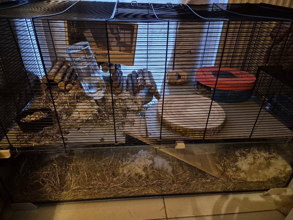 Hamsterkooi, Ophalen, Kooi, 110 cm of meer, 60 tot 90 cm