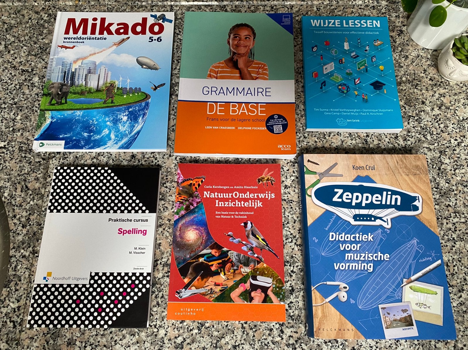 Bachelor Lager onderwijs 1ste jaar : 10 Studieboeken., Livres, Enlèvement, Comme neuf