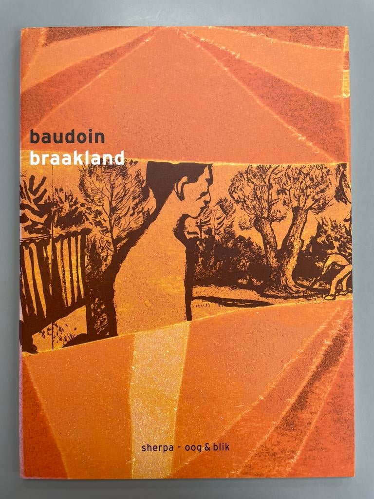 Graphic novel BRAAKLAND van Baudoin, Comics, Enlèvement ou Envoi, Comme neuf, Europe