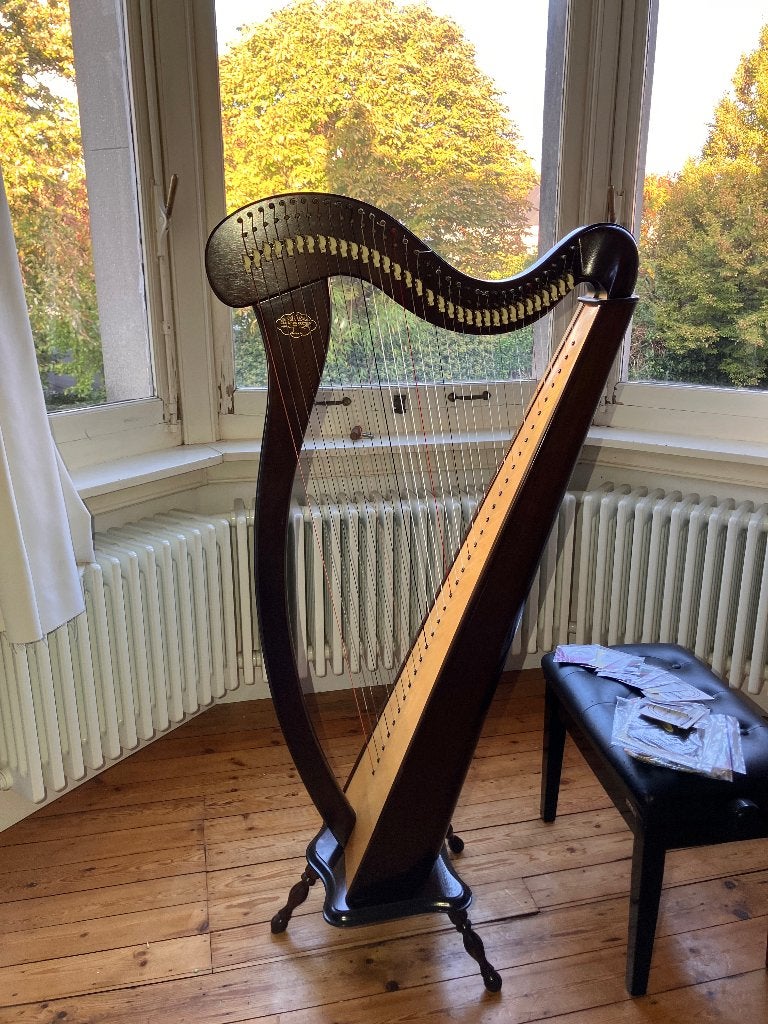 Camac Harp met klepjes/haakjes 34 snaren + extra spullen, Enlèvement, Utilisé