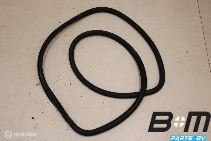 Portierrubber achterdeur links of rechts Volkswagen Polo 9N3, Utilisé