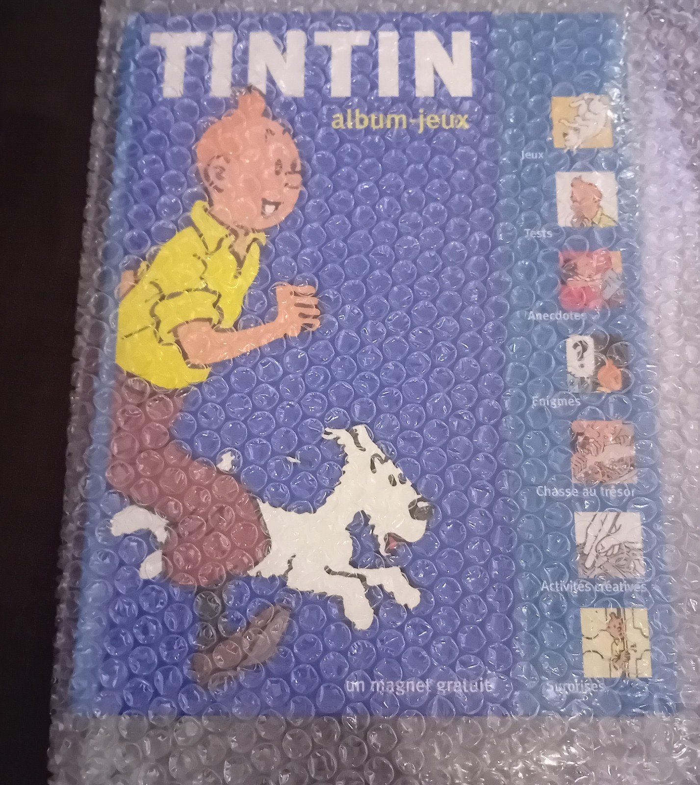 Tintin album-jeux n 1 (2006), Collections, Enlèvement ou Envoi, Tintin, Neuf, Livre ou Jeu