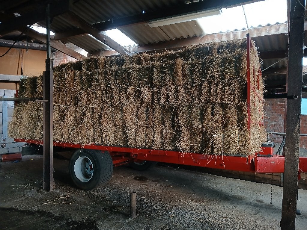 Kleine balen stro, Dieren en Toebehoren, Dierenvoeding, Ophalen